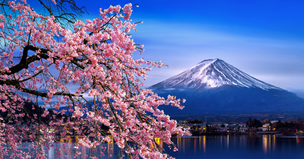 Mount Fuji framed by cherry blossoms in full bloom during spring in Japan
