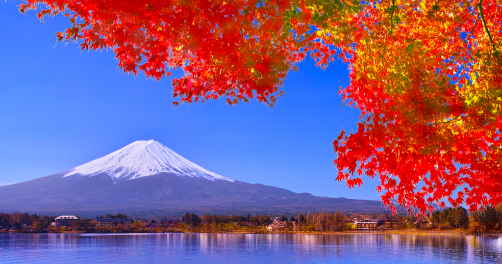 Mount Fuji surrounded by vivid autumn foliage of red and orange maple leaves.